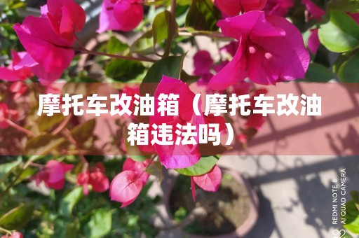 摩托车改油箱（摩托车改油箱违法吗）