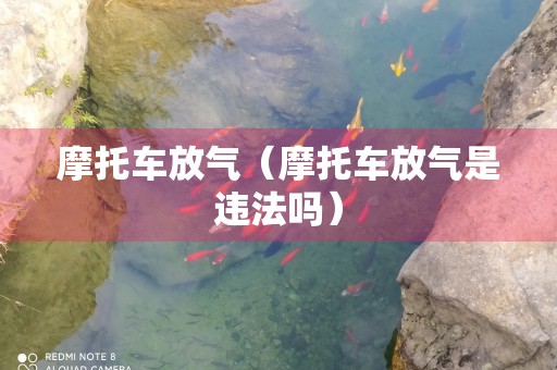 摩托车放气（摩托车放气是违法吗）