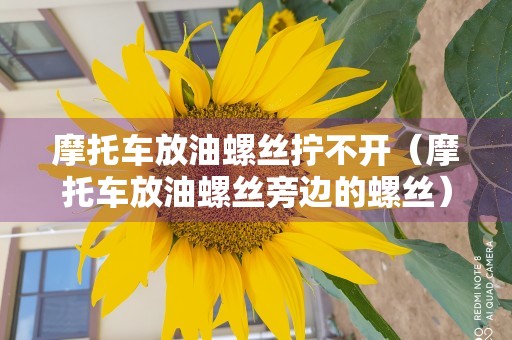 摩托车放油螺丝拧不开（摩托车放油螺丝旁边的螺丝）