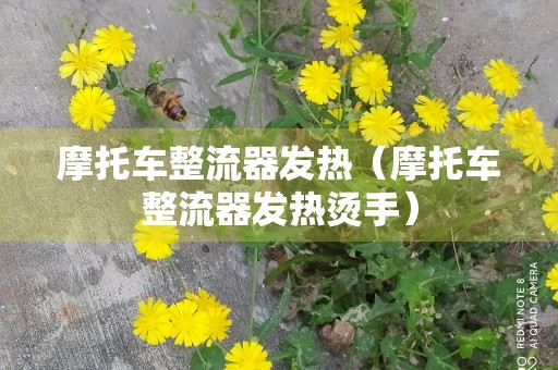 摩托车整流器发热（摩托车整流器发热烫手）