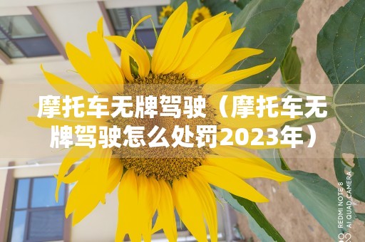 摩托车无牌驾驶（摩托车无牌驾驶怎么处罚2023年）