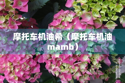 摩托车机油希（摩托车机油mamb）