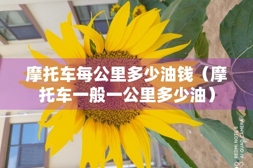 摩托车每公里多少油钱（摩托车一般一公里多少油）