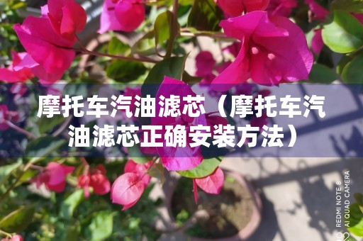 摩托车汽油滤芯（摩托车汽油滤芯正确安装方法）