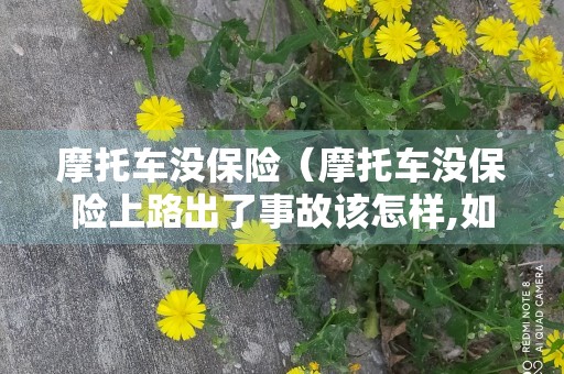 摩托车没保险（摩托车没保险上路出了事故该怎样,如果不违章）