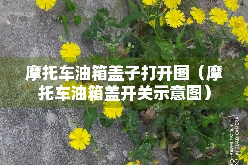 摩托车油箱盖子打开图（摩托车油箱盖开关示意图）