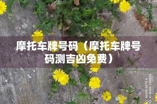 摩托车牌号码（摩托车牌号码测吉凶免费）