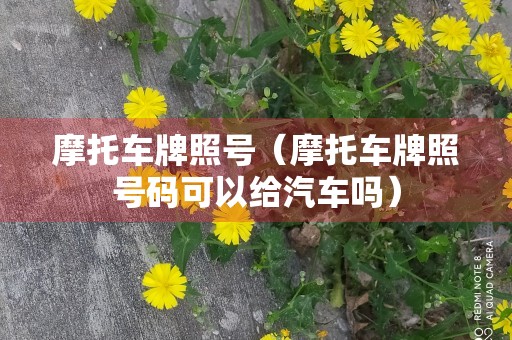 摩托车牌照号（摩托车牌照号码可以给汽车吗）