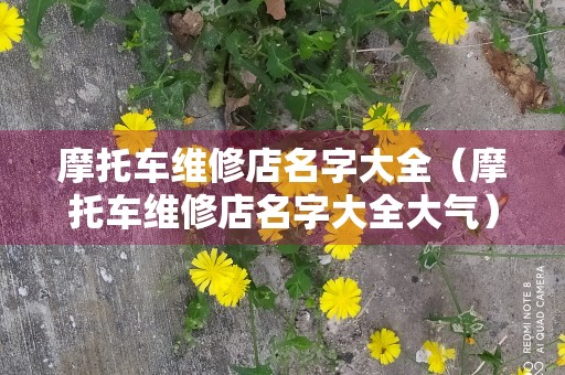 摩托车维修店名字大全（摩托车维修店名字大全大气）