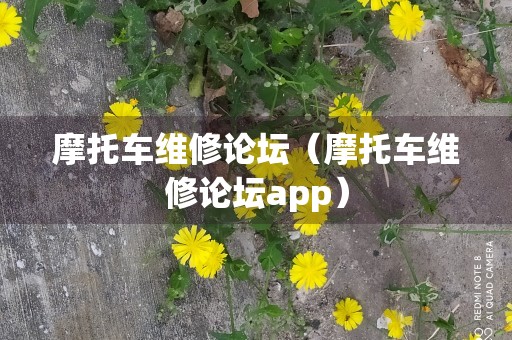 摩托车维修论坛（摩托车维修论坛app）