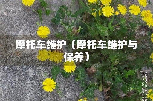 摩托车维护（摩托车维护与保养）