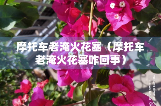 摩托车老淹火花塞（摩托车老淹火花塞咋回事）