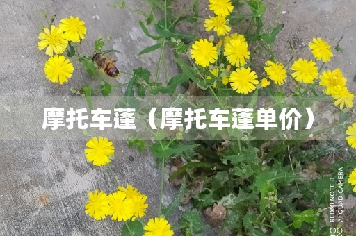 摩托车蓬（摩托车蓬单价）