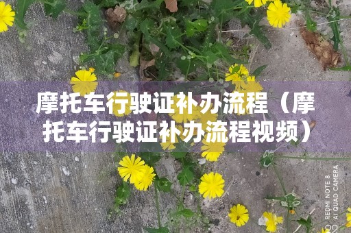 摩托车行驶证补办流程（摩托车行驶证补办流程视频）