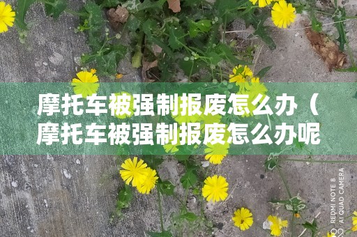 摩托车被强制报废怎么办（摩托车被强制报废怎么办呢）