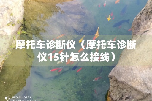 摩托车诊断仪（摩托车诊断仪15针怎么接线）