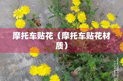 摩托车贴花（摩托车贴花材质）