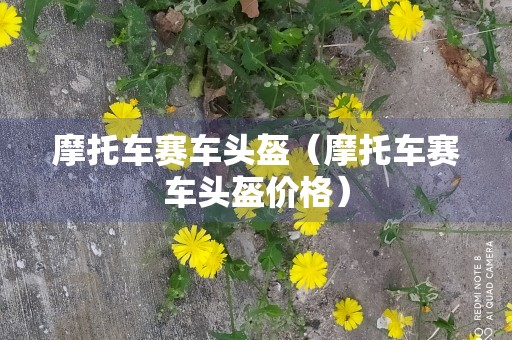 摩托车赛车头盔（摩托车赛车头盔价格）