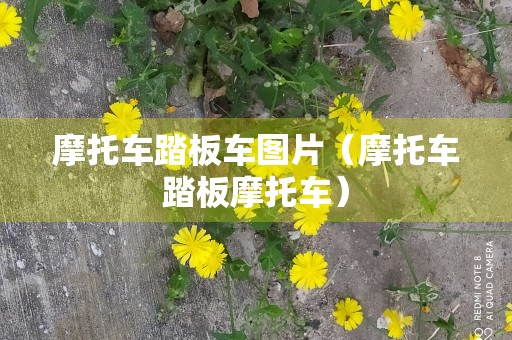 摩托车踏板车图片（摩托车踏板摩托车）