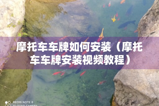 摩托车车牌如何安装（摩托车车牌安装视频教程）