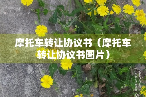 摩托车转让协议书（摩托车转让协议书图片）