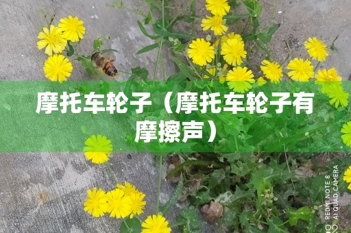 摩托车轮子（摩托车轮子有摩擦声）