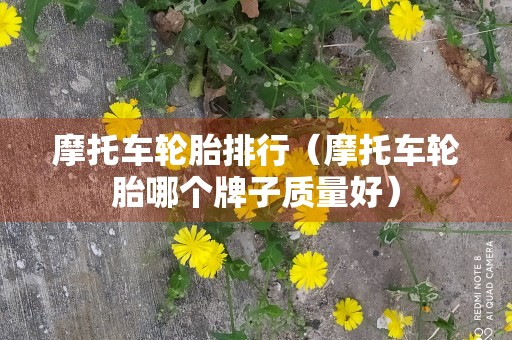 摩托车轮胎排行（摩托车轮胎哪个牌子质量好）