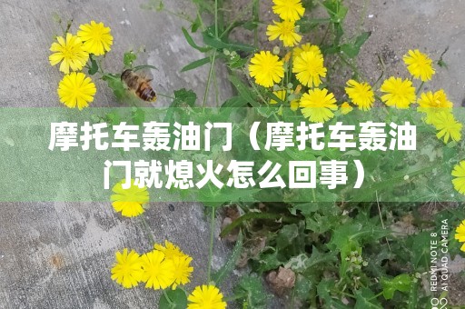 摩托车轰油门（摩托车轰油门就熄火怎么回事）