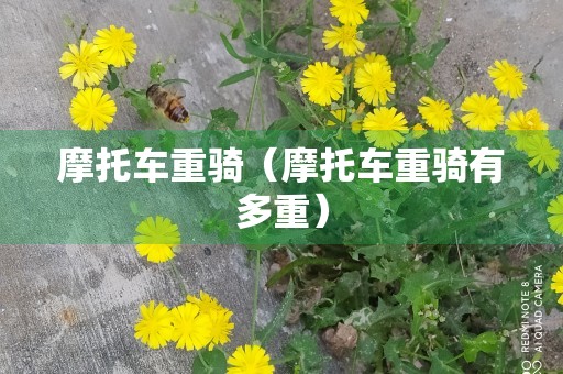 摩托车重骑（摩托车重骑有多重）