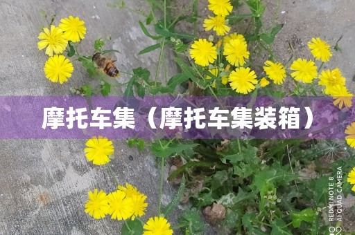 摩托车集（摩托车集装箱）