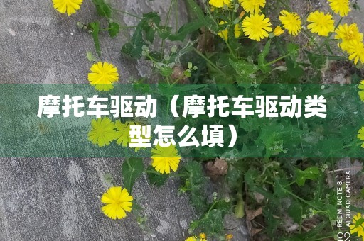 摩托车驱动（摩托车驱动类型怎么填）