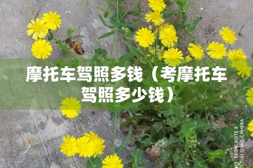 摩托车驾照多钱（考摩托车驾照多少钱）