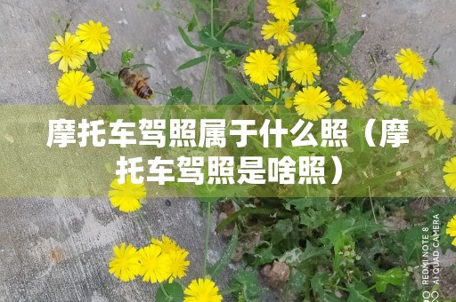 摩托车驾照属于什么照（摩托车驾照是啥照）