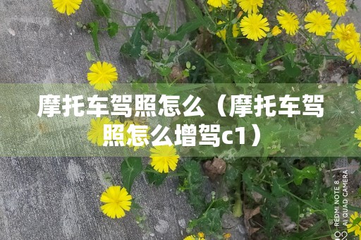 摩托车驾照怎么（摩托车驾照怎么增驾c1）