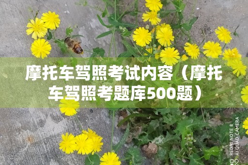 摩托车驾照考试内容（摩托车驾照考题库500题）