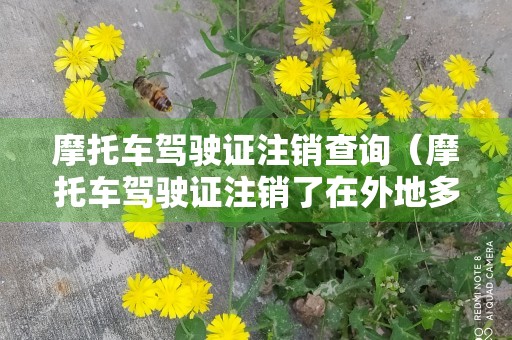 摩托车驾驶证注销查询（摩托车驾驶证注销了在外地多久才能看得到）