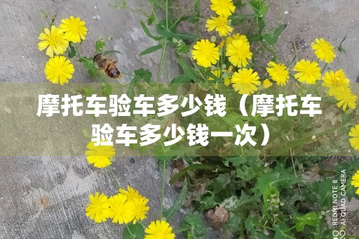 摩托车验车多少钱（摩托车验车多少钱一次）