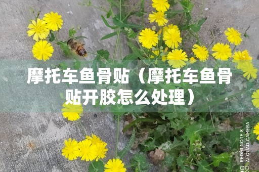 摩托车鱼骨贴（摩托车鱼骨贴开胶怎么处理）