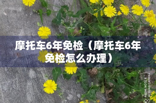 摩托车6年免检（摩托车6年免检怎么办理）