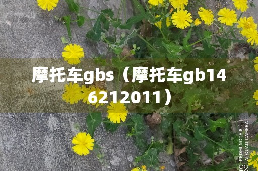 摩托车gbs（摩托车gb146212011）