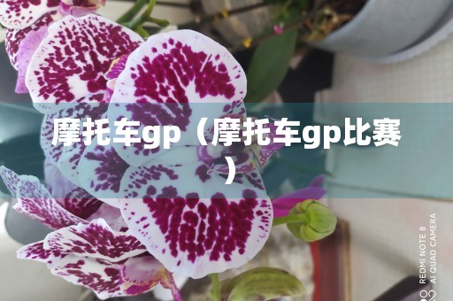 摩托车gp（摩托车gp比赛）