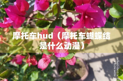 摩托车hud（摩托车蝴蝶结是什么动漫）