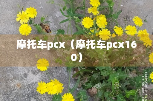 摩托车pcx（摩托车pcx160）