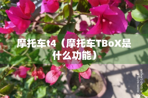 摩托车t4（摩托车TBoX是什么功能）