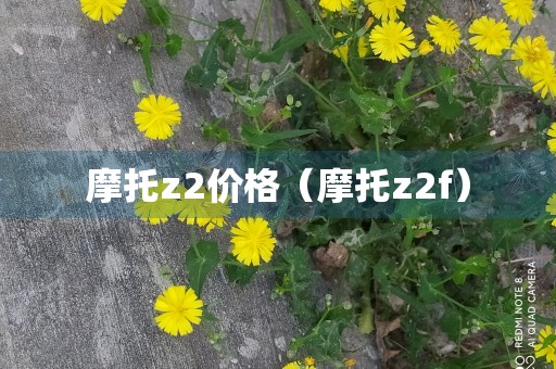 摩托z2价格（摩托z2f）