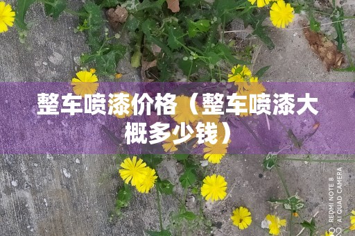 整车喷漆价格（整车喷漆大概多少钱）