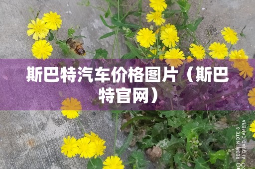 斯巴特汽车价格图片（斯巴特官网）