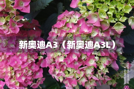 新奥迪A3（新奥迪A3L）