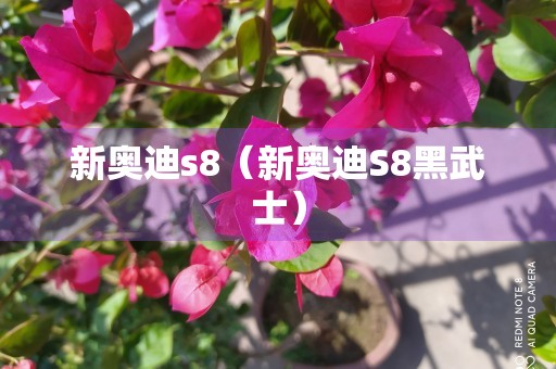 新奥迪s8（新奥迪S8黑武士）