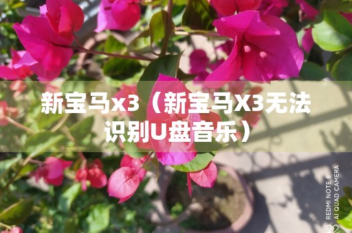 新宝马x3（新宝马X3无法识别U盘音乐）